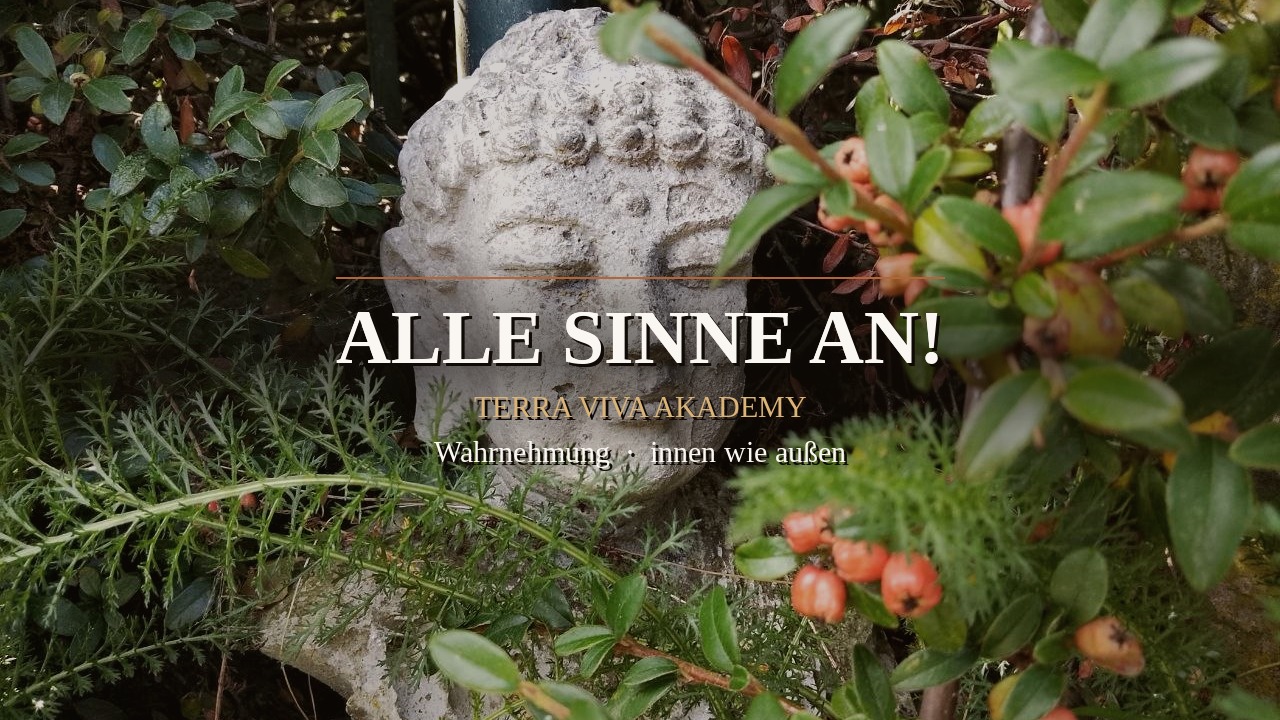 Alle Sinne an! — Auftakt-Wochenende der Schule der Sinne