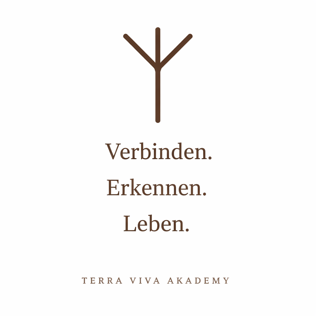 Terra Viva Akademy