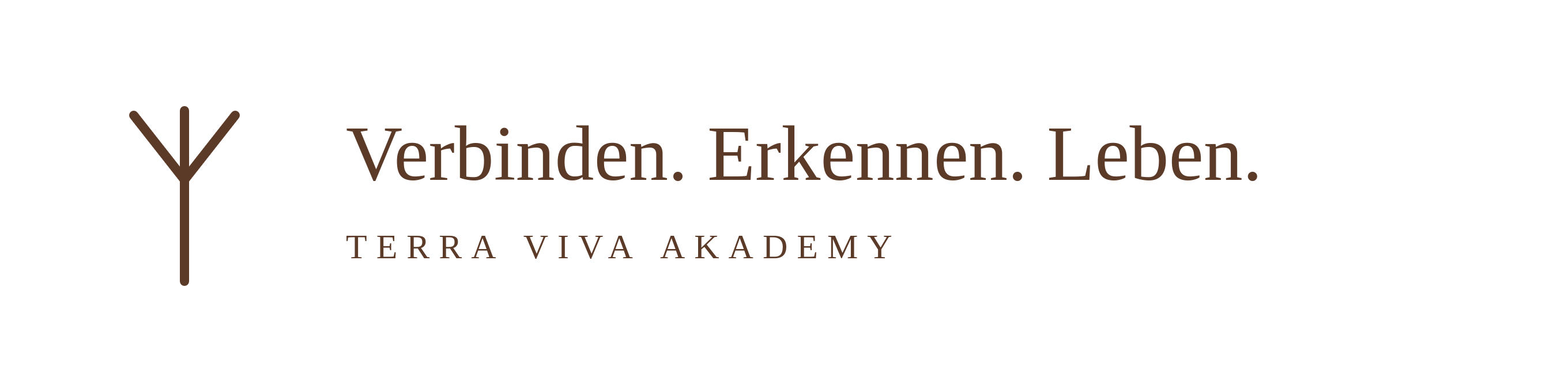 Terra Viva Akademy – Verbinden. Erkennen. Leben.